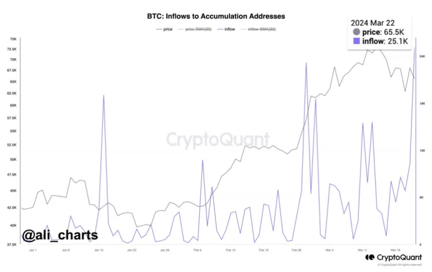 Birikim adreslerine 25.000 Bitcoin aktı: BTC fiyatı yakında toparlanır mı?