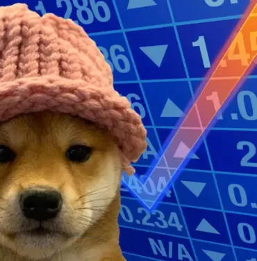 dogwifhat-market-gID_7