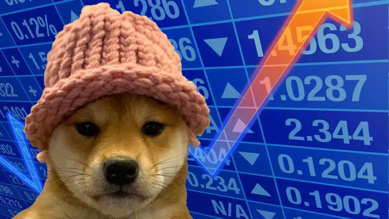 Dogwifhat (WIF) %2.000 yükseldi: Bu sadece bir başlangıç mı?