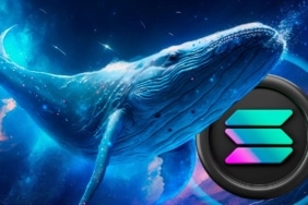 Solana balinaları fiyatlar düşünce bu coinleri toplamaya başladı