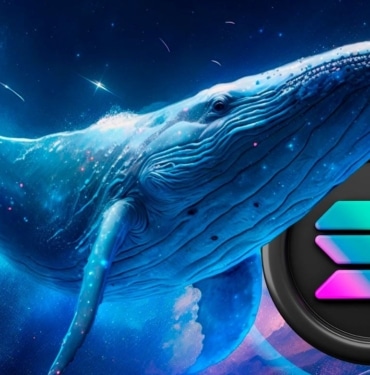 Solana balinaları fiyatlar düşünce bu coinleri toplamaya başladı