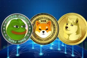Dogecoin, Shiba Inu ve Pepe alanlar kârda mı, zararda mı? İşte, şok veriler