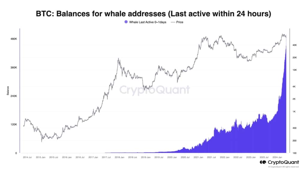 Balinalar 24 saatte 47.000 Bitcoin topladı: BTC için ‘yeni bir dönem’ mi başlıyor?
