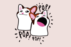 Popcat coin nedir? POPCAT/USD yorum, geleceği ve haberler