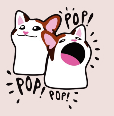 Popcat coin nedir? POPCAT/USD yorum, geleceği ve haberler