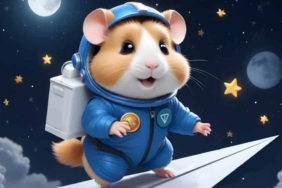 Hamster Kombat coin nedir? HMSTR/USD yorum, geleceği ve haberler