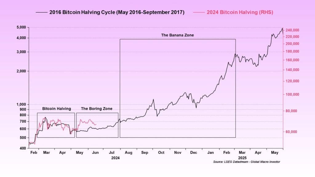 Bitcoin ve Solana'da parabolik ralli başlıyor! Real Vision analistlerinin beklediği seviyeler