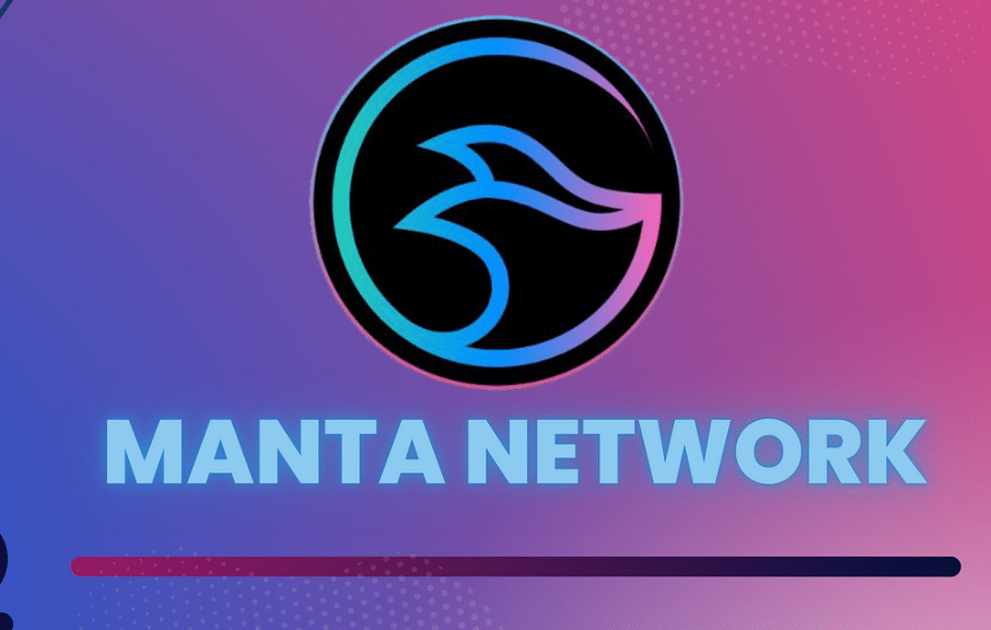 MANTA coin nedir? MANTA/USD yorum, geleceği ve haberler