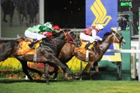 dogecoin-ve-shiba-inu-koinmedya-com