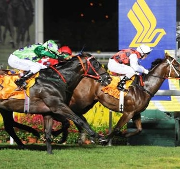 dogecoin-ve-shiba-inu-koinmedya-com