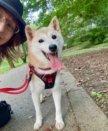 NEIRO coin nedir? NEIRO/USD yorum, geleceği ve haberler