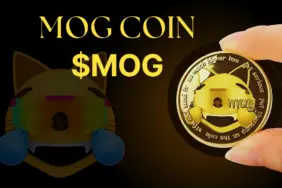 MOG coin nedir? MOG/USD yorum, geleceği ve haberler