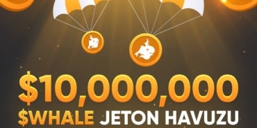 Whale.io_airdrop_featured_banner