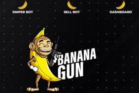 BANANA coin nedir? BANANA/USD yorum, geleceği ve haberler