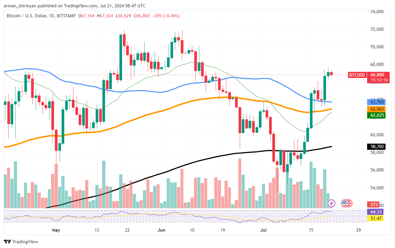 bitcoin-ayı-piyasası