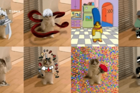 Michi coin nedir? MICHI/USD yorum, geleceği ve haberler