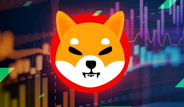 shiba