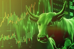 boga-Crypto-Bull-Run