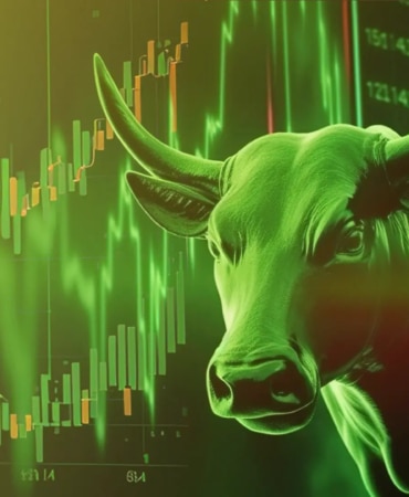 boga-Crypto-Bull-Run