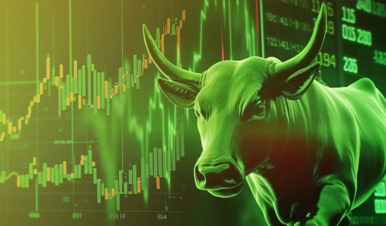 boga-Crypto-Bull-Run