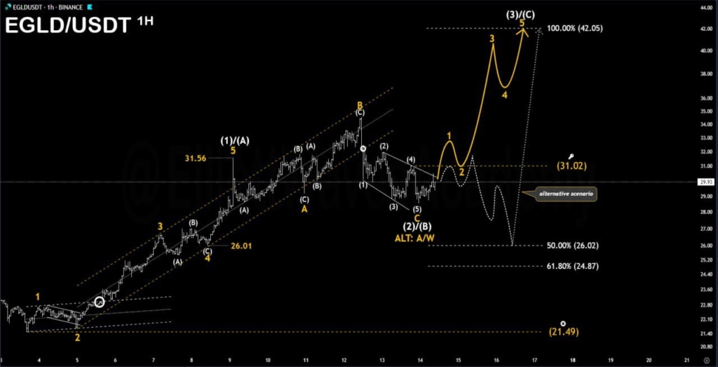 MultiversX MultiversX EGLD coin nedir? EGLD/USD yorum ve geleceği