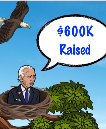 Ekran görüntüsü 2024-11-21 203736