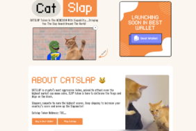 Ekran görüntüsü 2024-11-21 205247