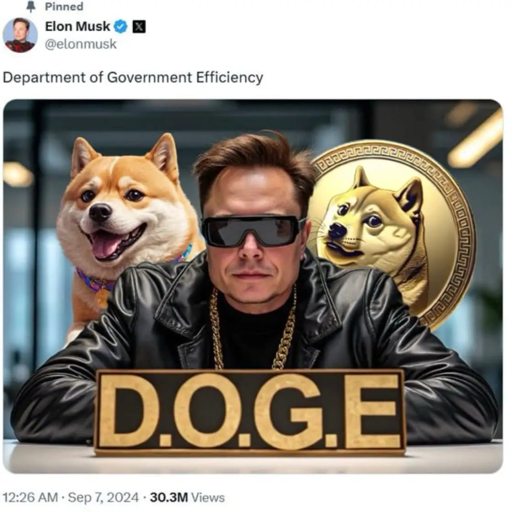 Elon Musk’un D.O.G.E Projesi: ABD Borsası Tehlikede mi?