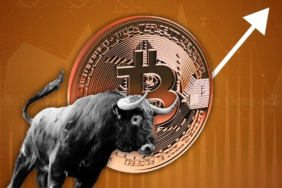 Bitcoin-boga-bull