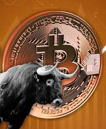 Bitcoin-boga-bull