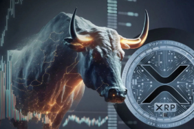 XRP-bull