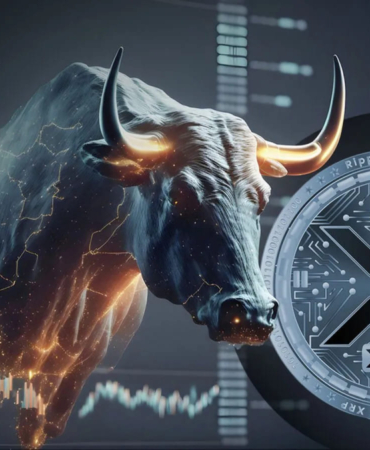 XRP-bull