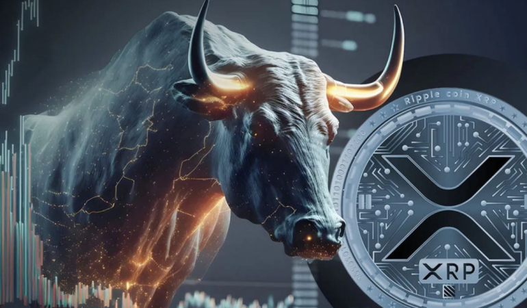 XRP-bull
