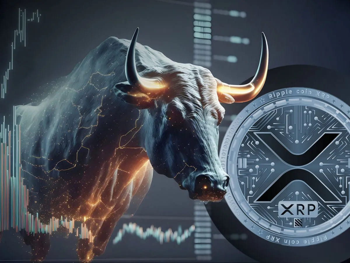 XRP-bull