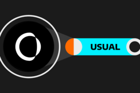 Usual coin nedir? USUAL/USD yorum, geleceği ve haberler